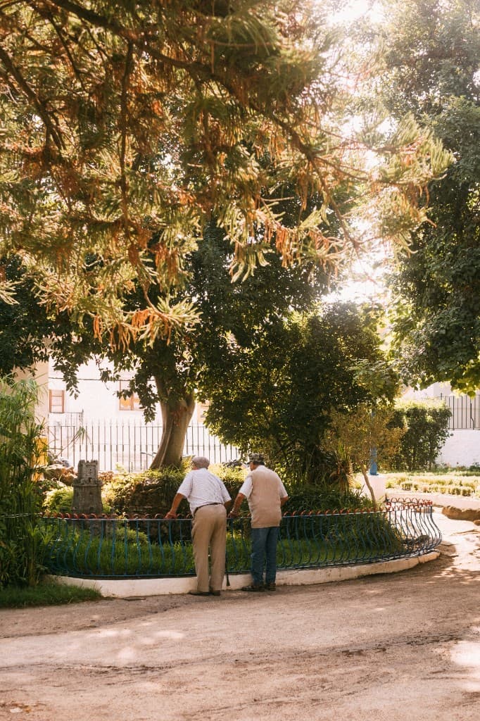 Idosos num parque no Porto